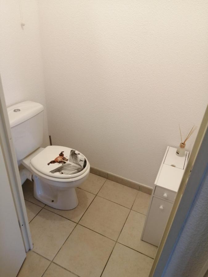 Le Cocon De Marie,Piscine, Balcon, Parking Gratuit, Baignoire Apartman Carcassone Kültér fotó