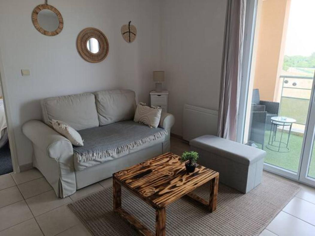 Le Cocon De Marie,Piscine, Balcon, Parking Gratuit, Baignoire Apartman Carcassone Kültér fotó